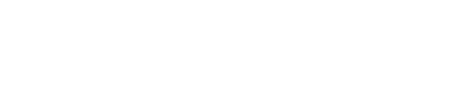 finksolutions.fr